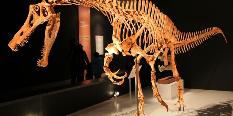 A disputa pelo retorno do dinossauro Irritator ao Brasil