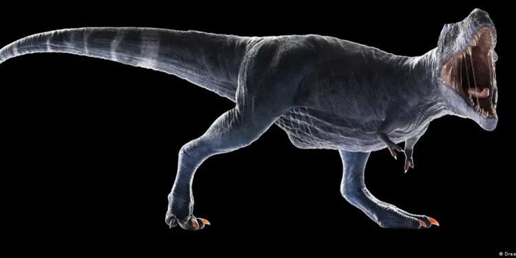 Desvendado o mistério dos braços curtos do T-Rex
