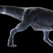 Desvendado o mistério dos braços curtos do T-Rex
