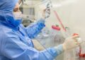 Estudo usa células-tronco contra complicações do transplante de medula