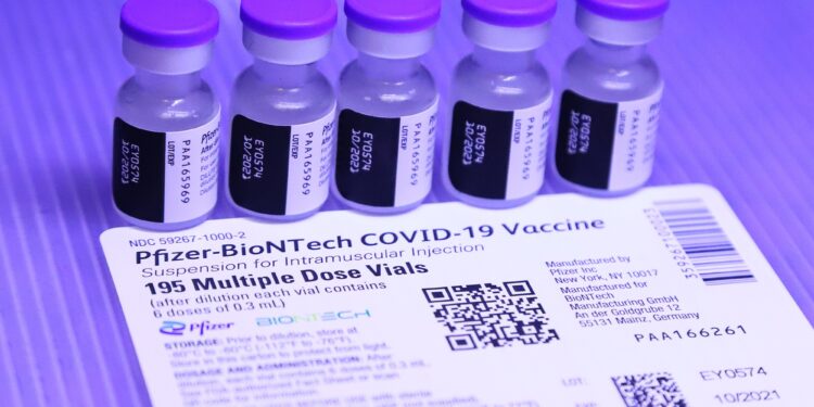É #FAKE que Pfizer listou infecção por hantavírus como efeito colateral de vacina contra Covid-19