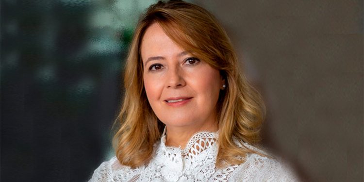 Sustentabilidade exige ação, governança e capacidade de transformar territórios – Jornal da USP