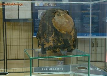 Cientistas fazem pão com levedura encontrada nas entranhas de uma múmia