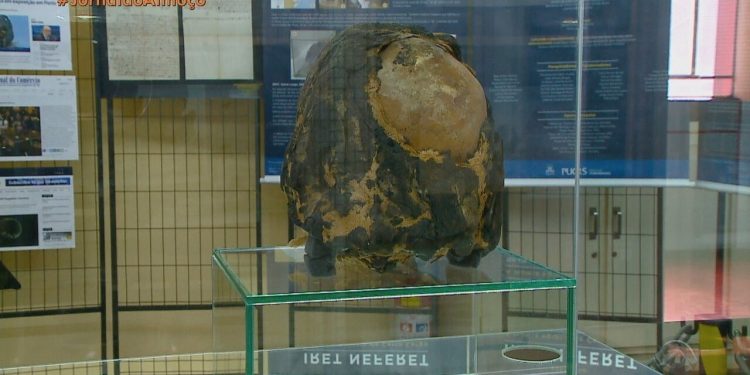 Cientistas fazem pão com levedura encontrada nas entranhas de uma múmia
