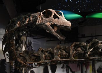 Tailândia identifica maior dinossauro já encontrado no Sudeste Asiático