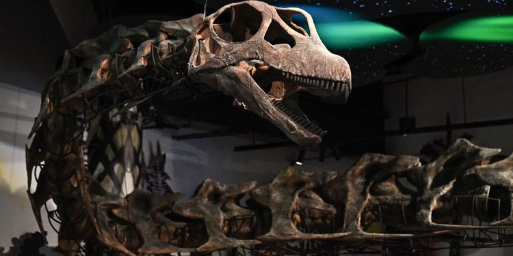 Tailândia identifica maior dinossauro já encontrado no Sudeste Asiático